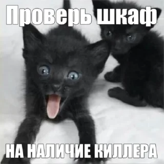 Sticker кошарики♡⁠(⁠>⁠ ⁠ਊ⁠ ⁠<⁠)⁠♡ - 7