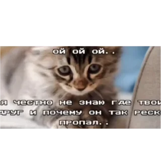 Sticker кошарики♡⁠(⁠>⁠ ⁠ਊ⁠ ⁠<⁠)⁠♡ - 2