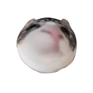 Sticker Больше стиков тут: @stikiin - 2