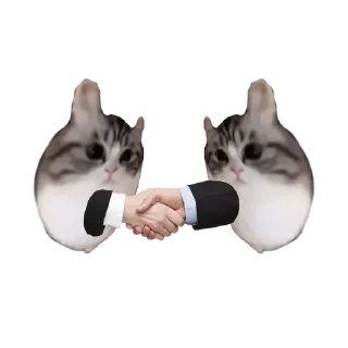 Sticker Больше стиков тут: @stikiin - 1