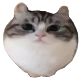 Sticker Больше стиков тут: @stikiin - 5