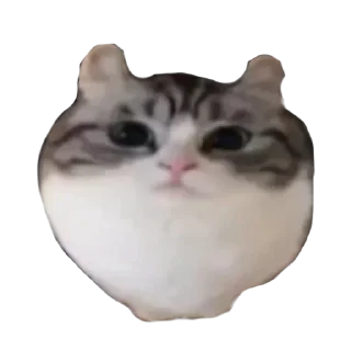 Sticker Больше стиков тут: @stikiin - 0