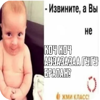 Sticker КОЧ БРАТАН КОЧ @bosinn_edits - 9