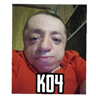 Sticker КОЧ БРАТАН КОЧ @bosinn_edits - 8