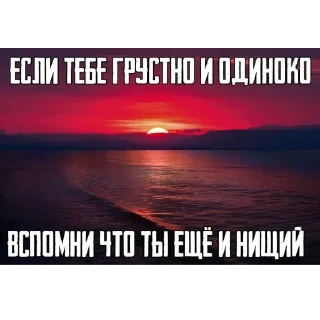 Sticker KOCH PROKURATURA - 11