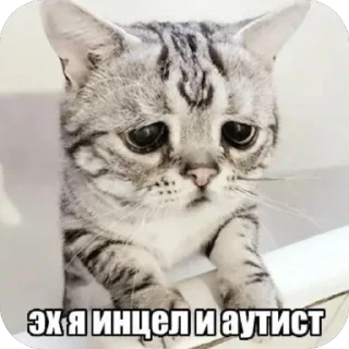 Sticker KOCH PROKURATURA - 8