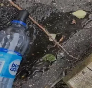 Стикер БАЗА НИКОЛАЯ - 5