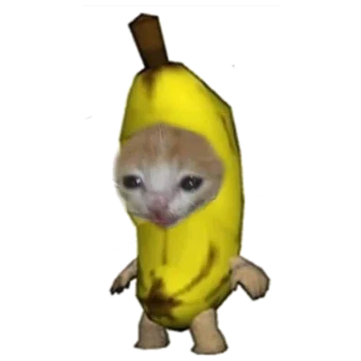 Стикер КОООШачья империя - 1