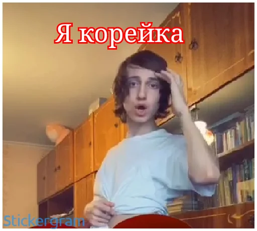 Sticker KOPEUKA DASHA - 5