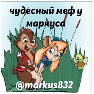 Sticker KOSTA MEOW - 6