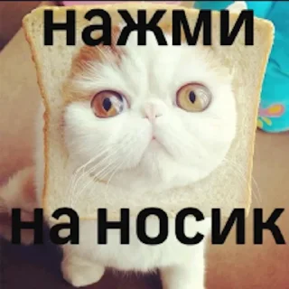 Sticker Милота - 1