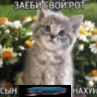 Стикер КОТОБЛЯДЬ - 0
