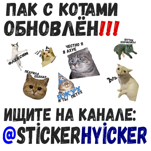 Sticker (@StickersHyickers) Коты Ебучие - 1