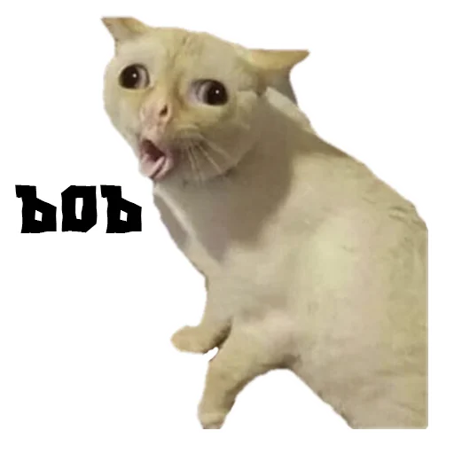 Sticker (@StickersHyickers) Коты Ебучие - 0