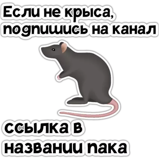 Стикер Крысик 🐀 @GIFSTIKI ⬅ - 10