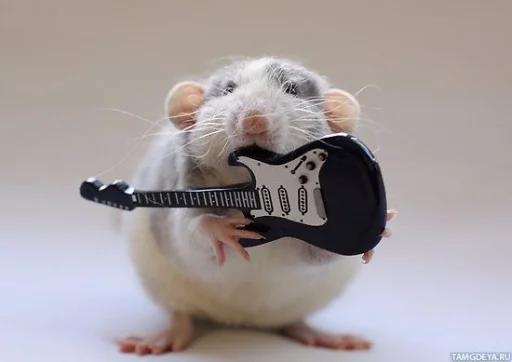 Стикер Крысик 🐀 @GIFSTIKI ⬅ - 7