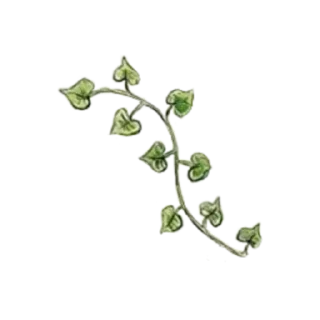 Sticker Больше стиков тут: @stikery4 - 6