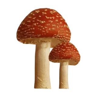 Sticker Больше стиков тут: @stikery4 - 10