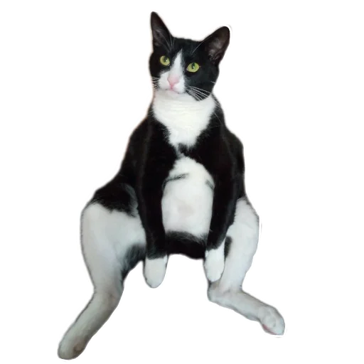 Стикер KRonin - 1