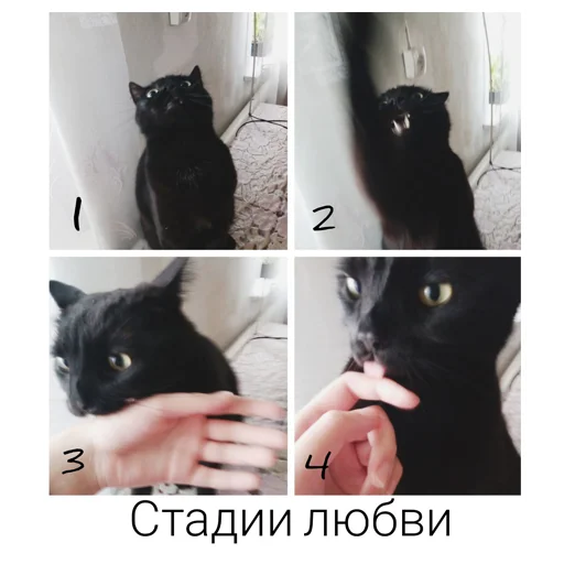 Стикер KRonin - 1