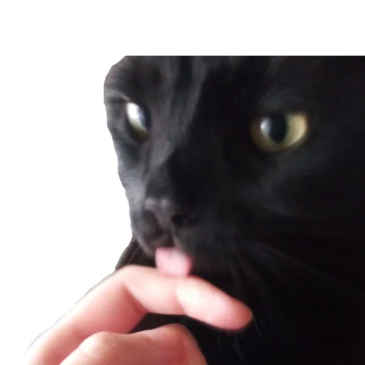 Стикер KRonin - 1