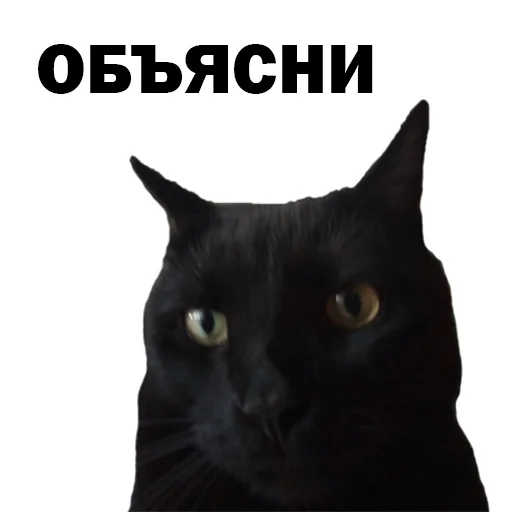 Стикер KRonin - 1