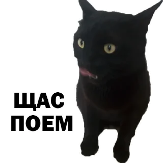 Sticker Sweetpets - 0