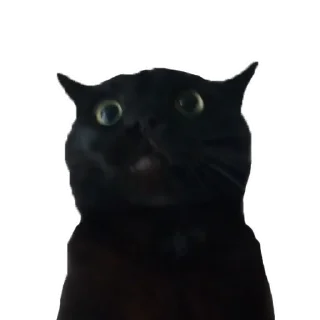 Sticker Sweetpets - 9