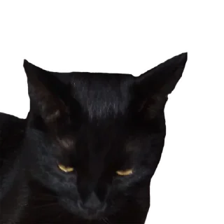 Sticker Sweetpets - 6