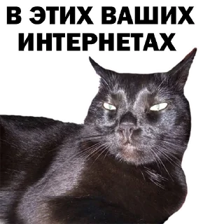 Sticker Sweetpets - 4