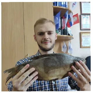 Стикер КУЛАК! - 6