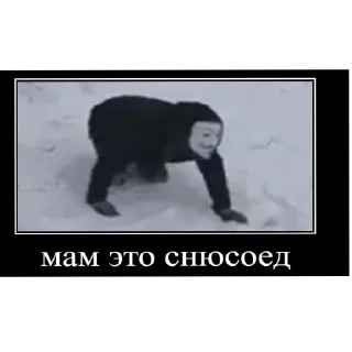 Sticker КВД ГОВНО - 0