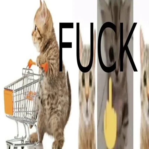 Sticker KVcFRTmh_by_stickers_stealer_bot - 1