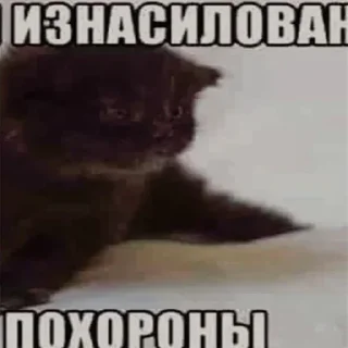 Sticker Больше стикеров: @sticerru - 3