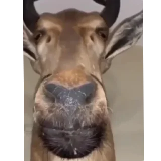 Sticker Больше стиков тут: @stikery4 - 1