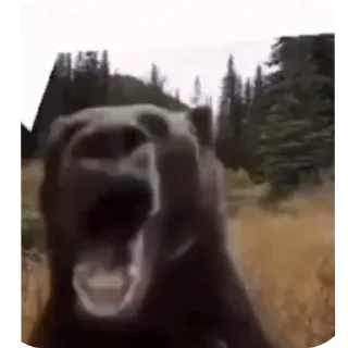 Sticker Больше стиков тут: @stikery4 - 7