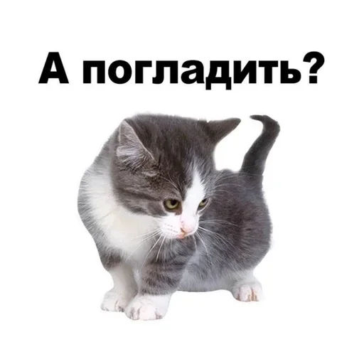 Больше стиков тут: @stikery4 - 