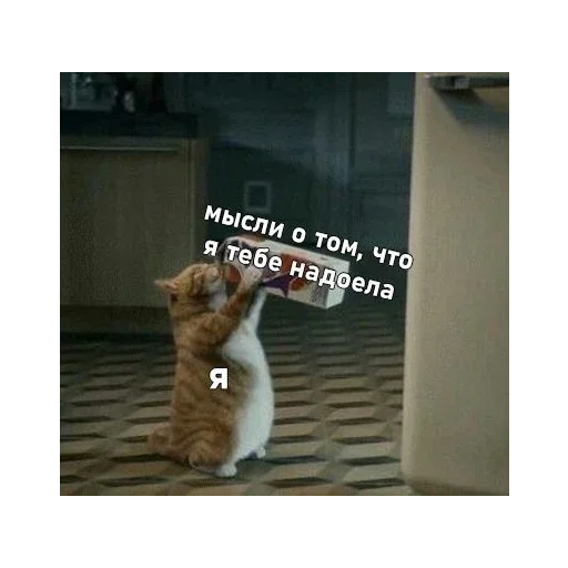 Sticker K_o_T_i_K_i5 - 1