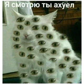 Стикер #К_о_Т_и_К_и - 2