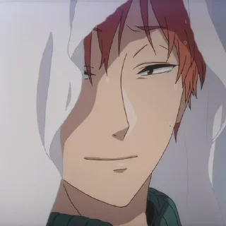 Sticker Kabakura 🔶 (@TodorokiShouto) - 2