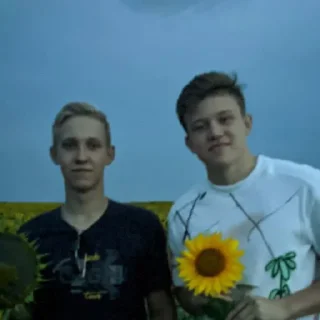 Sticker Кабаны - 10