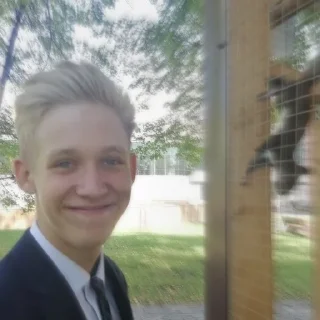 Sticker Кабаны - 2