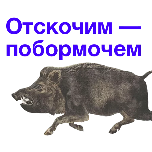 животное СМС млекопитающее