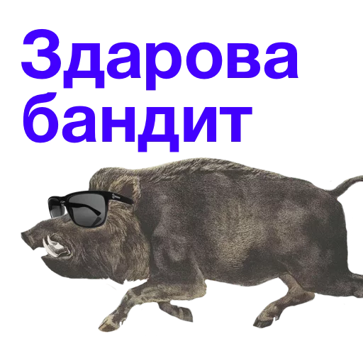 СМС животное млекопитающее