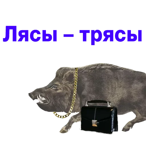 text animal dog