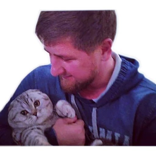 Человек животное кошка