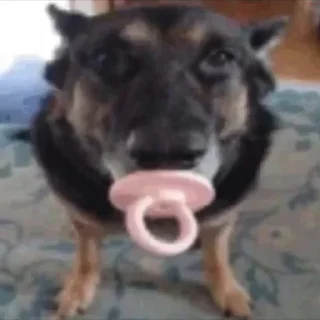 Sticker Literally @Rondo0416 - 8