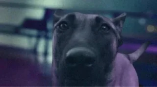 Sticker Literally @Rondo0416 - 6