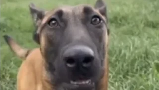 Sticker Literally @Rondo0416 - 7