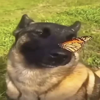 Sticker Literally @Rondo0416 - 2